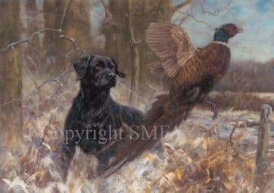 Black Labrador Flushing Pheasant Blank Greetings Card 'At the Last Moment' by John Trickett C411