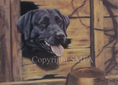 Black Labrador Greeting Card 'Gap In The Fence' by John Trickett C164