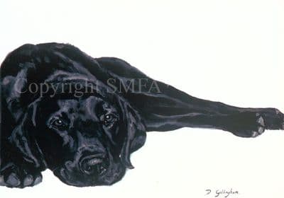 Black Labrador Greeting Card 'Lounging Around' by Debbie Gillingham C304