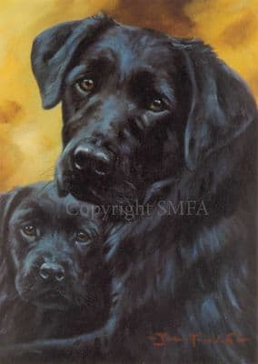 Black Labrador Greeting Card 'Safe and  Secure' by John Trickett C115