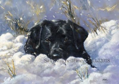 Black Labrador in the Snow Blank Greetings Card 'Snow Plough' by Paul Doyle C553