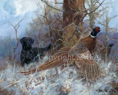 Black Labrador Limited Edition Canvas Print 'Lab Flushing' by John Trickett