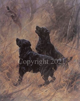 Black Labrador Limited Edition Print 'A Near Thing' by John Trickett