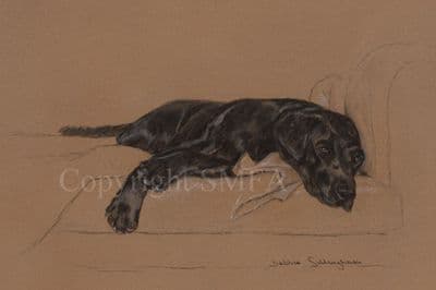 Black Labrador Limited Edition Print 'After a Hard Day' by Debbie Gillingham