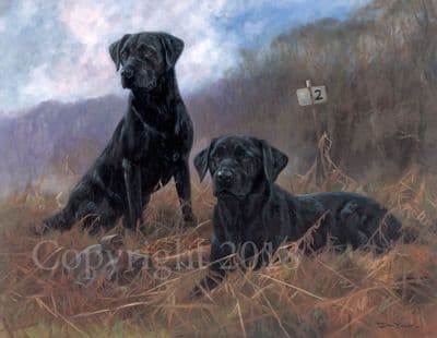 Black Labrador Limited Edition Print 'At The Peg' by John Trickett