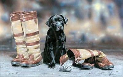 Black Labrador Limited Edition Print 'Bootiful' by Paul Doyle