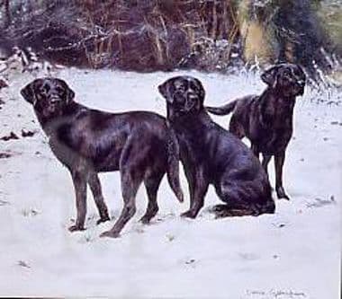 Black Labrador Limited Edition Print 'Cool Calm and Collected' by Debbie Gillingham