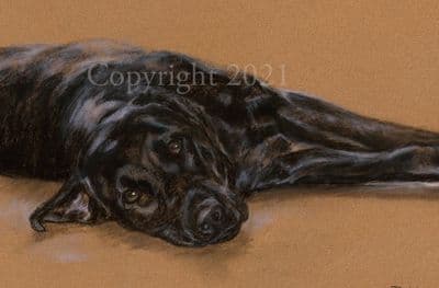 Black Labrador Limited Edition Print 'Down But Not Out' by Debbie Gillingham