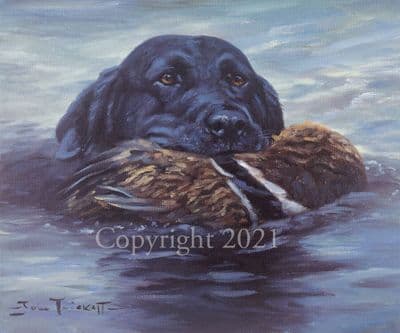Black Labrador Limited Edition Print 'Graduation Day' by John Trickett