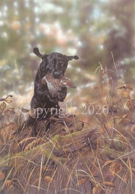Black Labrador Limited Edition Print 'Home Run' by Paul Doyle