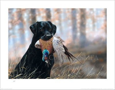 Black Labrador Limited Edition Print 'Still Watching' by Paul Doyle