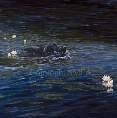 Black Labrador Limited Edition Print 'Summer Holidays' by Paul Doyle