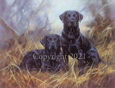 Black Labrador Limited Edition Print 'The Bold and the Beautiful' by John Trickett