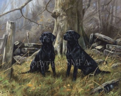 Black Labrador Limited Edition Print 'The Waiting Game' by John Trickett