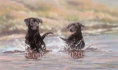 Black Labrador Limited Edition Print 'The Water Boys' by Paul Doyle