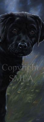 Black Labrador Limited Edition Print 'Young and Impressionable' by Paul Doyle