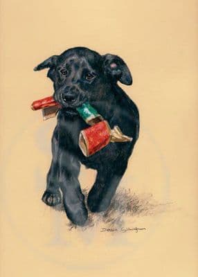 Black Labrador Puppy Christmas Cards 'Pull the Other One' by Debbie Gillingham C463X