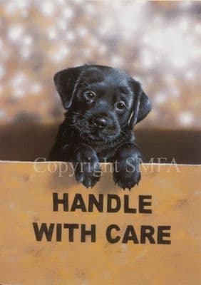 Black Labrador Puppy Greeting Card 'Handle With Care' by Paul Doyle C98