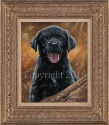 Black Labrador Puppy Original Oil Painting 'Enthusiasm' by John Trickett