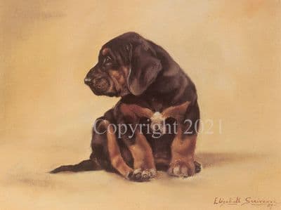 Bloodhound Puppy Limited Edition Print 'Sometimes' by  Elizabeth Scrivener