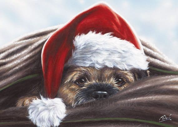 Border Claus' Pack of 10 Border Terrier Christmas cards by Paul Doyle C719x