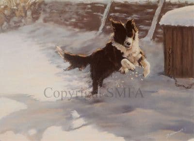Border Collie Blank Greetings Card 'Snow, Sun and Fun' by Julie Ainsworth B169