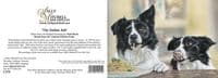 Border Collie Blank Greetings Card 'The Italian Job' by Paul Doyle C575