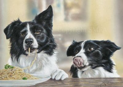 Border Collie Blank Greetings Card 'The Italian Job' by Paul Doyle C575