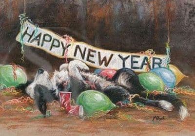 Border Collie Christmas Cards 'Party Animal' by Paul Doyle C458X