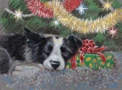 Border Collie Christmas Cards 'Sweet Dreams' by Paul Doyle C499X