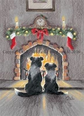 Border Collie Christmas Cards 'Winter Warmer' by Paul Doyle C453X