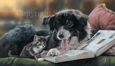 Border Collie Limited Edition Print 'Bedtime Story' by Paul Doyle