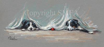 Border Collie Limited Edition Print 'Finders Keepers' by Paul Doyle