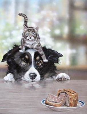 Border Collie Limited Edition Print 'Partners In Crime' by Paul Doyle