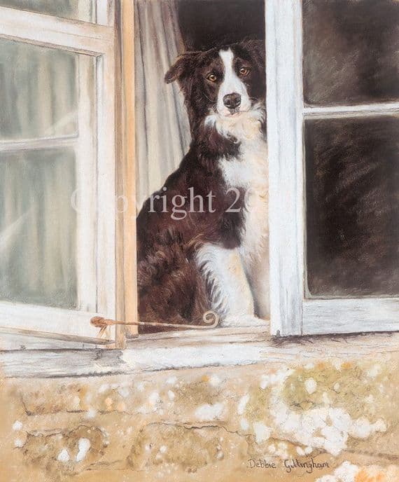 Border Collie Limited Edition Print 'Room With A View' by Debbie Gillingham