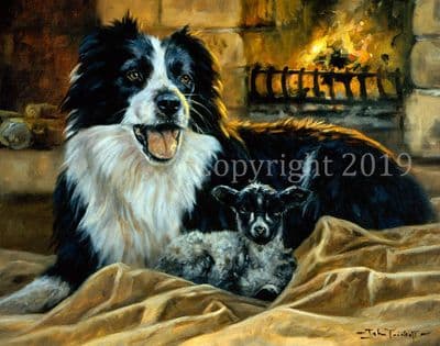 Border Collie Limited Edition Print 'The Godmother' by John Trickett