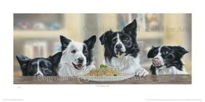 Border Collie Limited Edition Print 'The Italian Job' by Paul Doyle