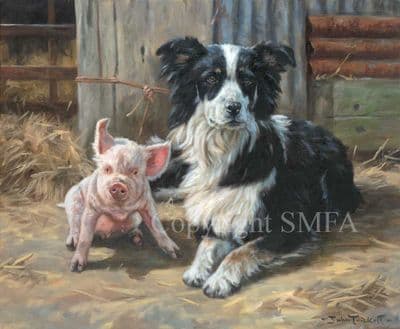 Border Collie Limited Edition Print 'The Stepmother' by John Trickett