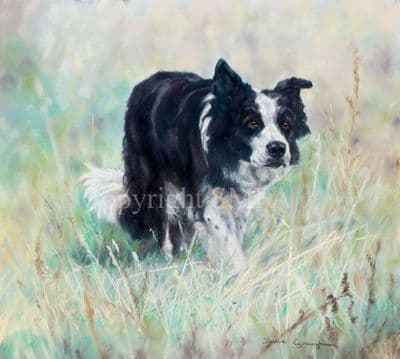 Border Collie Limited Edition Print 'The Workman' by Debbie Gillingham