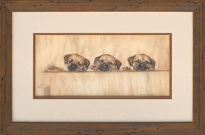 Border Pups Original Border Terrier Pastel by Debbie Gillingham