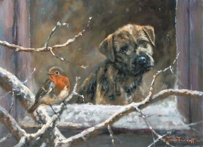 Border Terrier and Robin Christmas Cards 'Christmas Caller' by John Trickett C504X