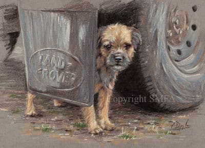 Border Terrier Blank Greetings Card 'Borderland' by Paul Doyle C523
