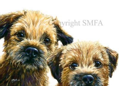 Border Terrier Blank Greetings Card 'Borders' by Paul Doyle C269