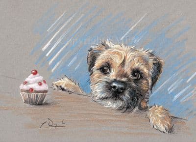Border Terrier Blank Greetings Card Calorie Counter by Paul Doyle C572