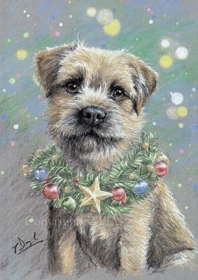 Border Terrier Blank Greetings Card 'Christmas Star' by Paul Doyle C555