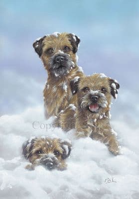 Border Terrier Blank Greetings Card 'Lets Play' by Paul Doyle C662
