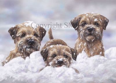 Border Terrier Blank Greetings Card 'Snow Borders' by Paul Doyle C407