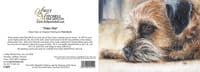 Border Terrier Blank Greetings Card 'Time Out' by Paul Doyle C605