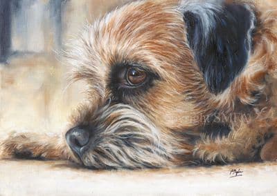 Border Terrier Blank Greetings Card 'Time Out' by Paul Doyle C605