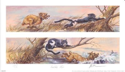 Border Terrier cat Limited Edition Print 'Lucky Dip' by Mick Cawston